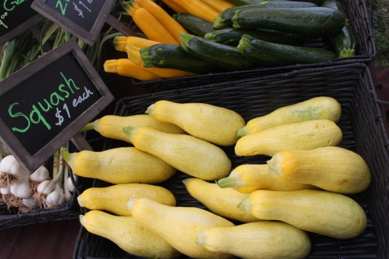Capital City Farmers Market Returns to Downtown Trenton