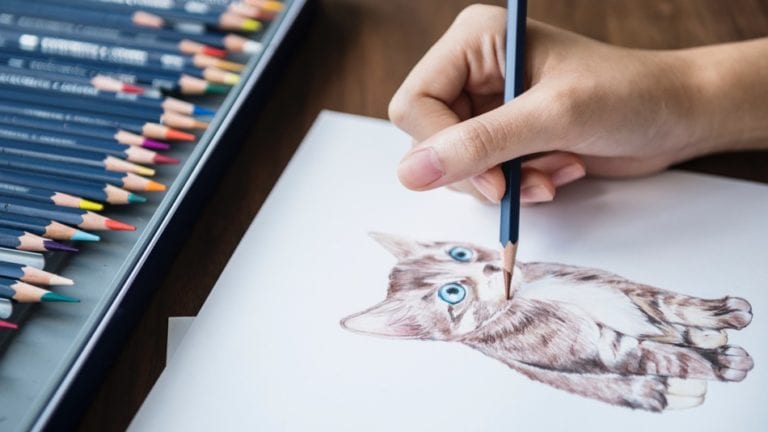Drop in and Draw