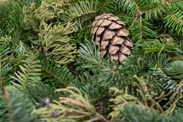 Shop ’til You Drop at the William Trent House