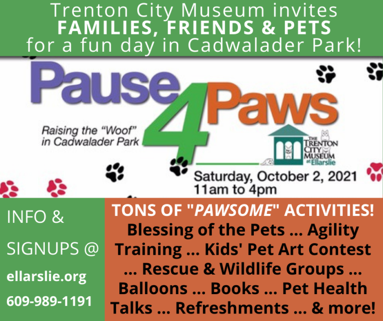 Pause 4 Paws is Happening Today: Here’s What to Expect