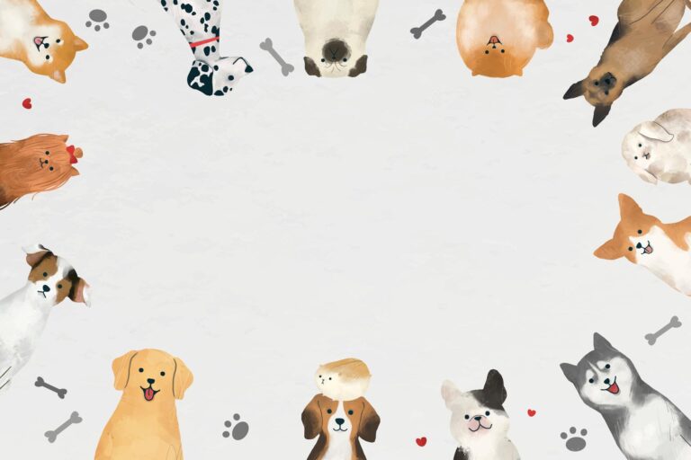 People for Animals to Offer Free Vaccination and Microchip Clinic