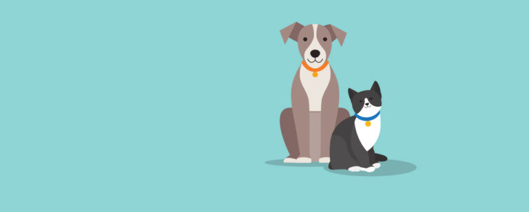 Last Chance to Apply for the City of Trenton Animal Welfare Advisory Board – Deadline Friday, January 24, 2025