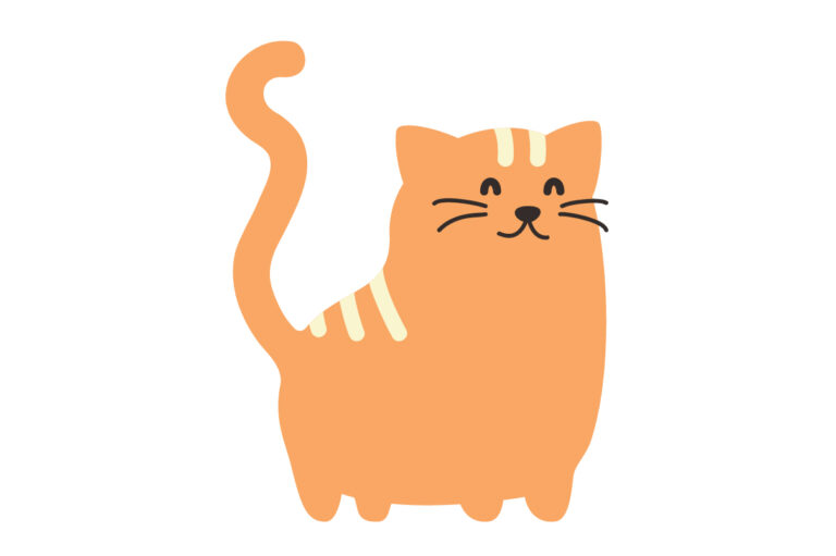 “Cattoos” For a Cause with Trenton Cats Rescue!