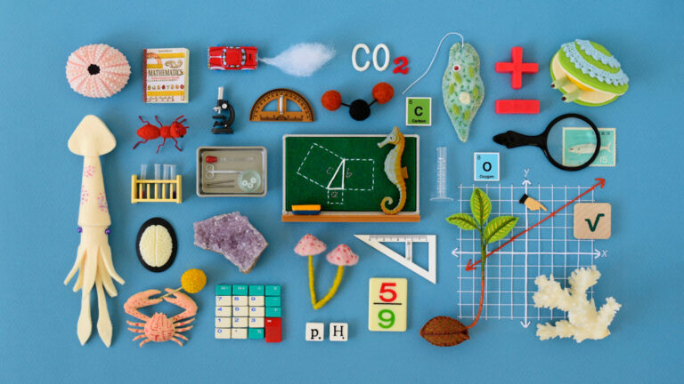 Join the NJSM for “Girl Scouts: See the World as a Scientist”