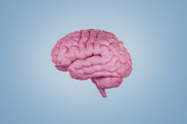 NJ State Library to Host “The Many Faces of Brain Injury”