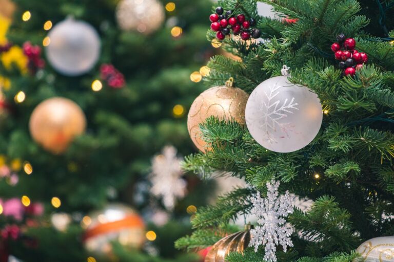 Second Annual Heritage Trees at the Trent House: Trenton Area Organizations Light Up the Museum Grounds