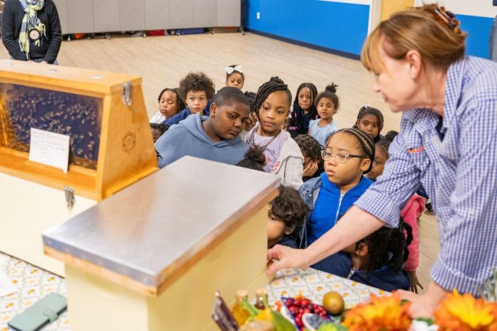 thumbnail_2025-10-16BGCBees0024